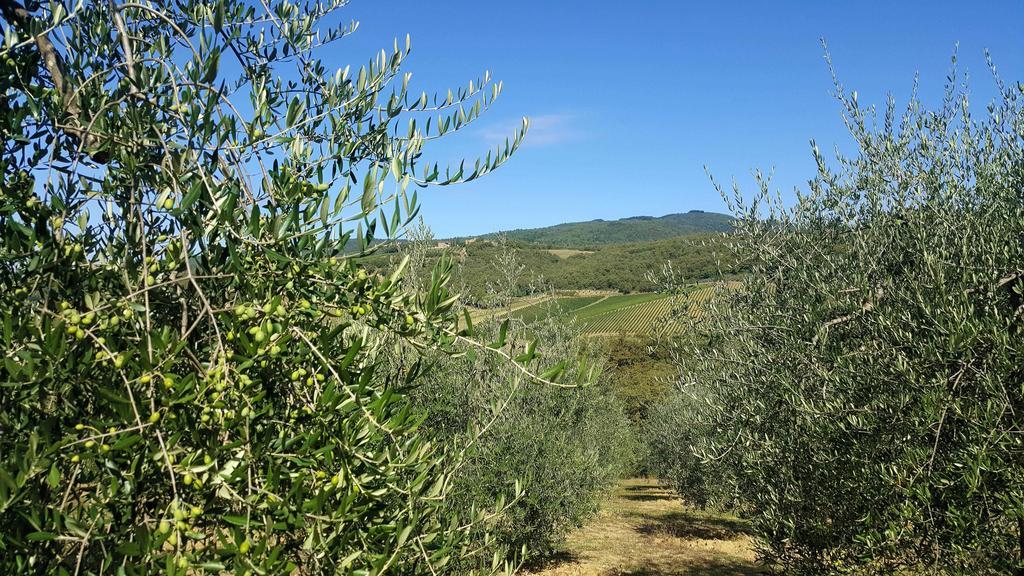 Holiday House Le Selvole Radda in Chianti Luaran gambar