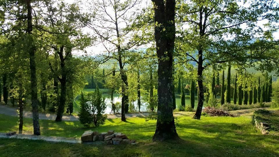 Holiday House Le Selvole Radda in Chianti Bilik gambar