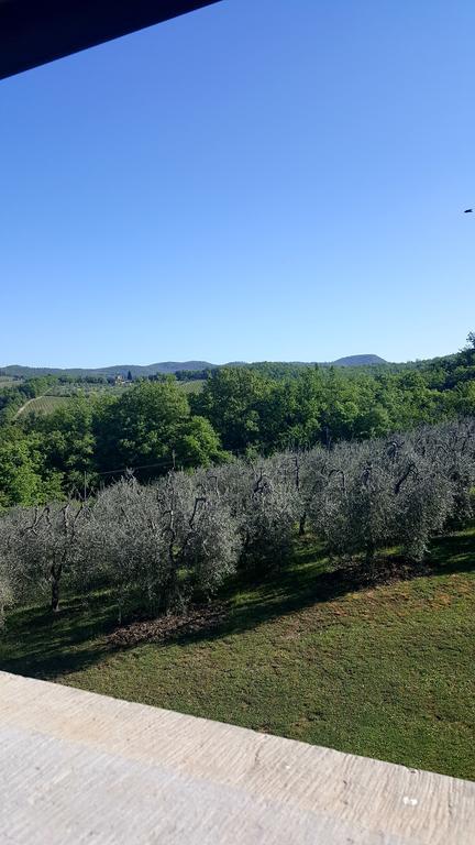 Holiday House Le Selvole Radda in Chianti Luaran gambar