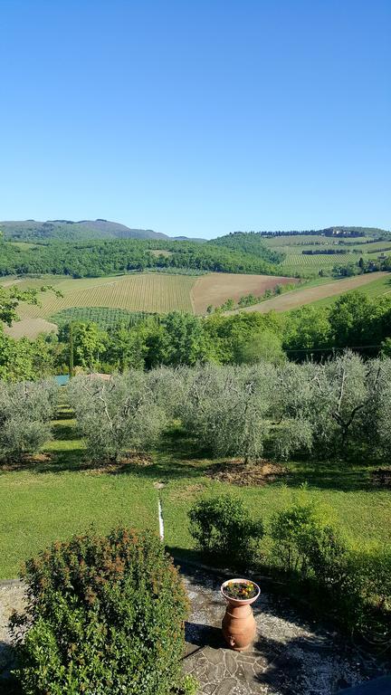 Holiday House Le Selvole Radda in Chianti Luaran gambar