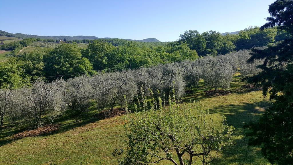 Holiday House Le Selvole Radda in Chianti Luaran gambar
