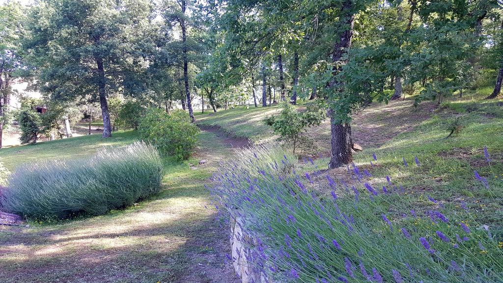 Holiday House Le Selvole Radda in Chianti Luaran gambar