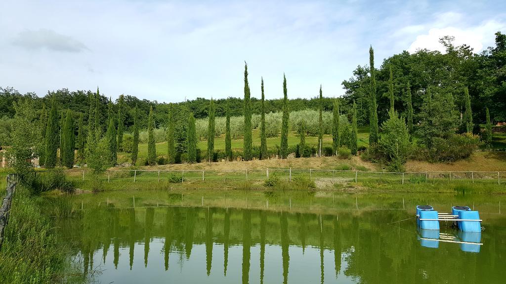 Holiday House Le Selvole Radda in Chianti Luaran gambar